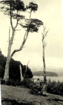 Route de Correntoso, lac Nahuel-Huapi,