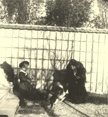 V7108 - A la plage, St.Quay? 1901