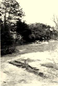La pelouse arrière du château