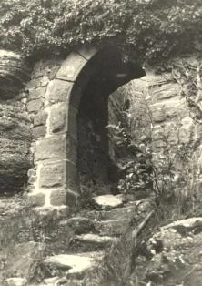 Ruine d'un burg dans la forêt des Vosges