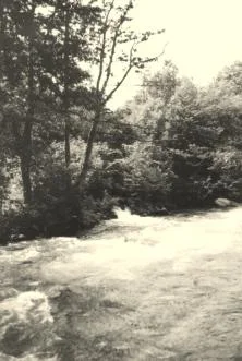Torrent dans les Pyrénées, 1953