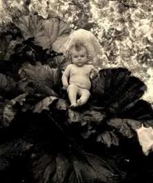 JCT007 - Vonnette?, 1901, Dampierre