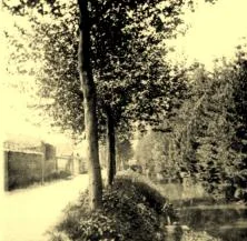 VM056 - Champagne