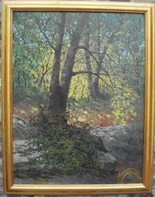 sous-bois