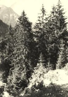 Descente à pied vers Grindenwald