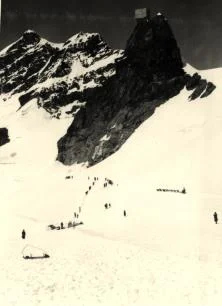 A la Jungfrau, les chiens polaires