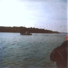 dans le carré