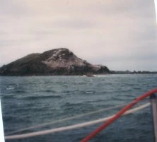 L'île Rouzic et les fous de Bassan
