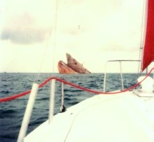 l'Amoco Cadiz