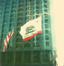 l'ours, emblême de la Californie