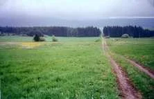 Un dernier séjour dans une grande forêt, là où ont vécu les parents de son grand père le général Rougier, dans le Jura, près de Champagnoles