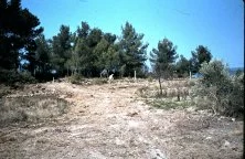 Près du Brûlat