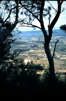 Provence 1965