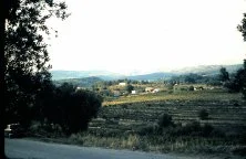 Provence 1965