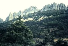 Sénanque