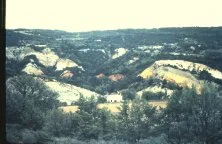 Sénanque