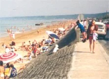 1980c