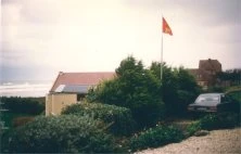 1993c