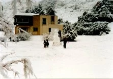 1980c