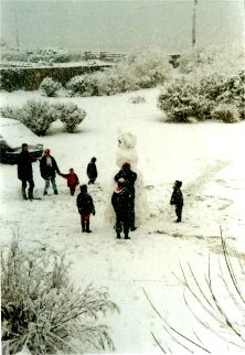jardin neige 1997c