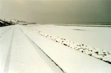 1998c
